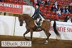 13buck_3173 proof