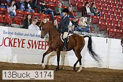 13buck_3174 proof