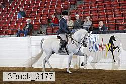 13buck_3177 proof