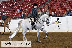 13buck_3178 proof