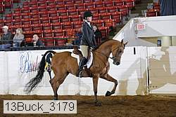 13buck_3179 proof