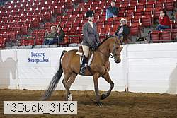 13buck_3180 proof