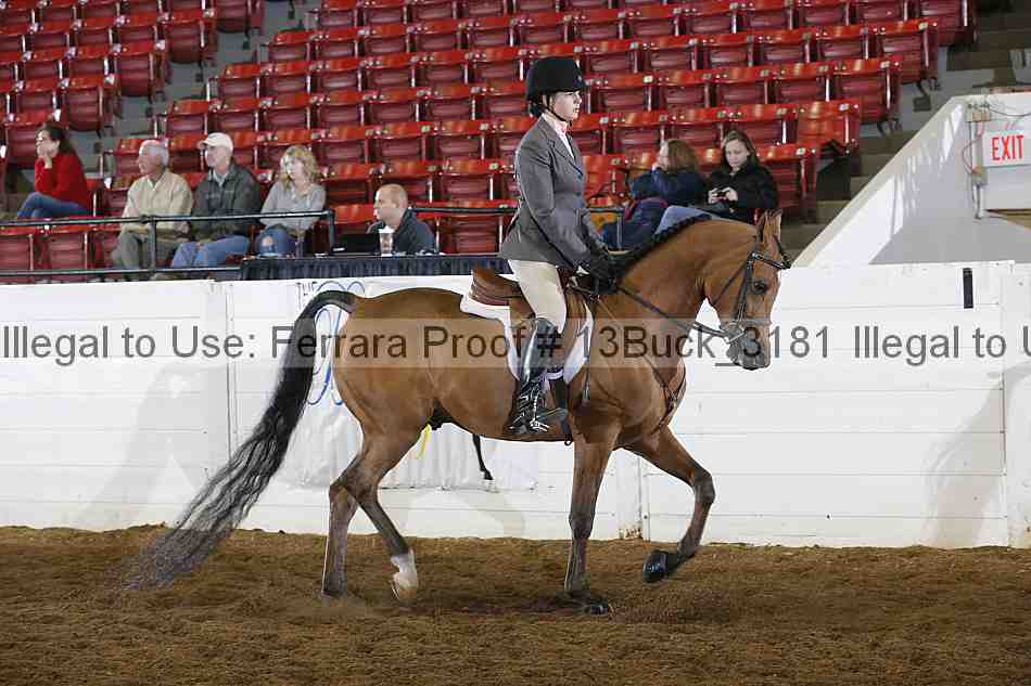 Proof 13buck_3181