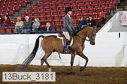 13buck_3181 proof