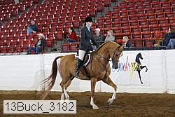 13buck_3182 proof