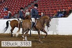 13buck_3183 proof