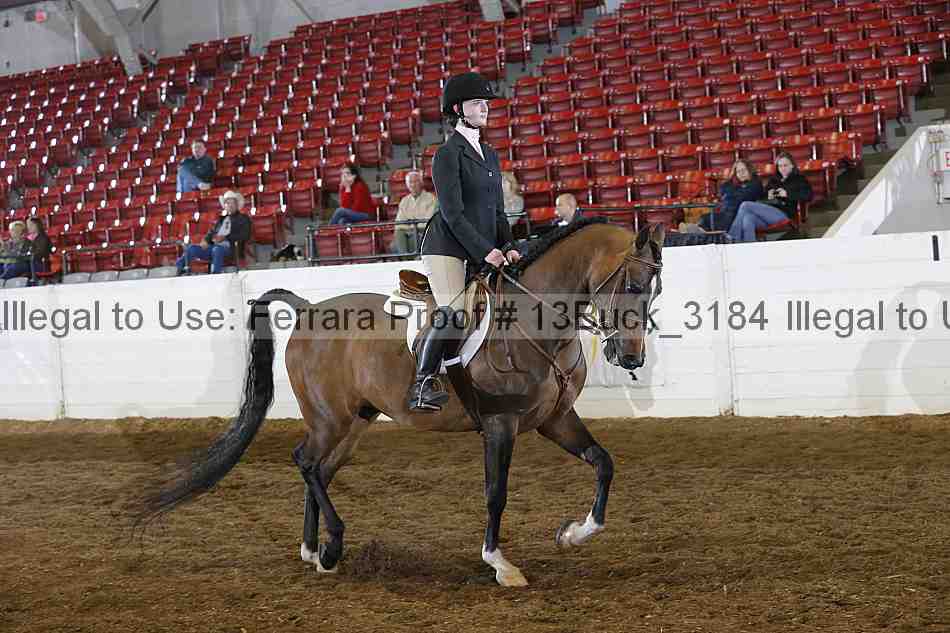 Proof 13buck_3184
