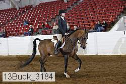 13buck_3184 proof