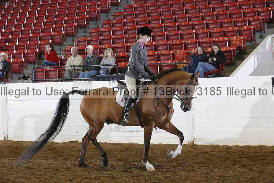 Proof 13buck_3185