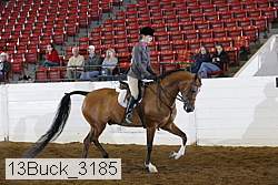 13buck_3185 proof