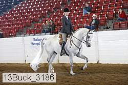 13buck_3186 proof