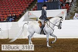 13buck_3187 proof