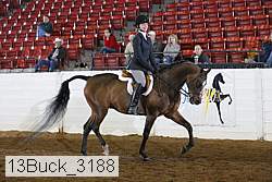 13buck_3188 proof