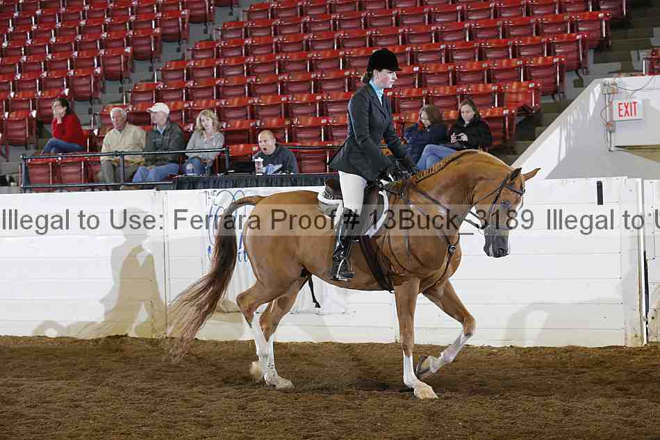 Proof 13buck_3189
