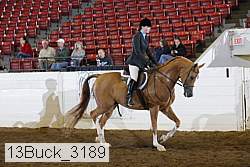 13buck_3189 proof