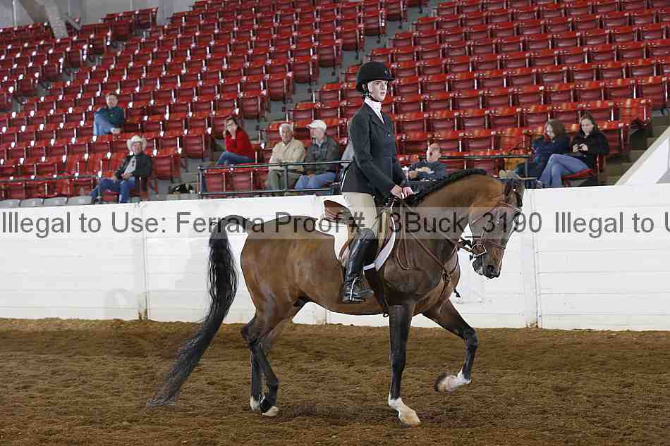 Proof 13buck_3190