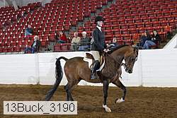 13buck_3190 proof