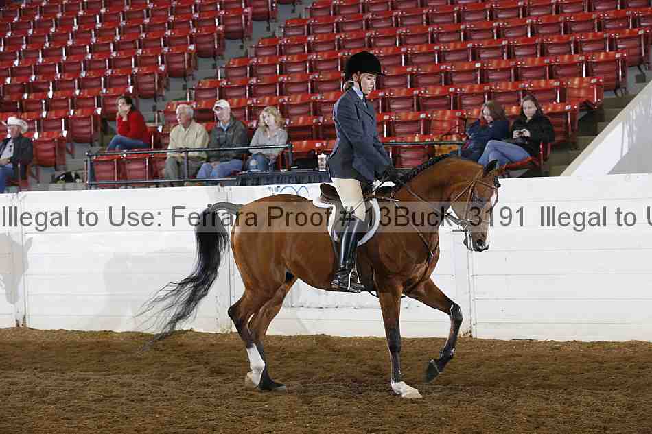 Proof 13buck_3191
