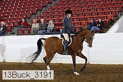 13buck_3191 proof