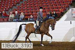 13buck_3192 proof