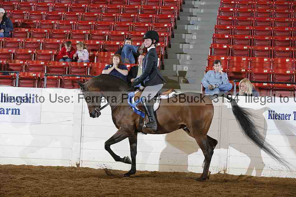 Proof 13buck_3194