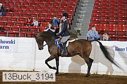 13buck_3194 proof