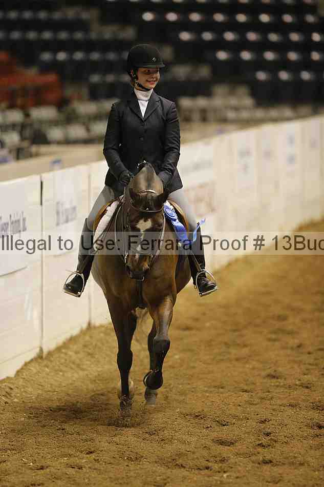 Proof 13buck_3196