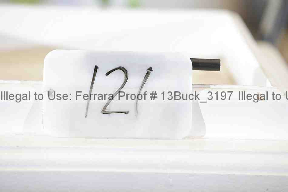 Proof 13buck_3197