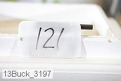 13buck_3197 proof