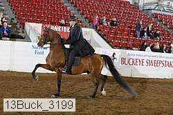 13buck_3199 proof