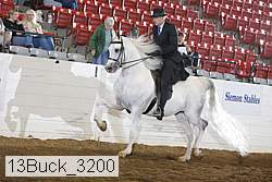 13buck_3200 proof