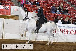 13buck_3201 proof