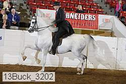 13buck_3202 proof