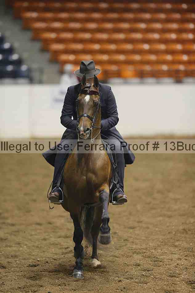 Proof 13buck_3203