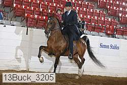 13buck_3205 proof