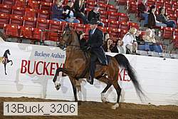13buck_3206 proof