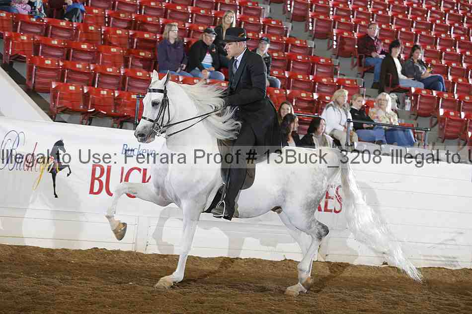 Proof 13buck_3208