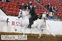 13buck_3208 proof