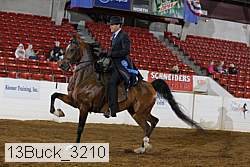 13buck_3210 proof