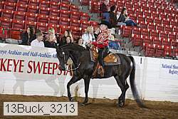 13buck_3213 proof