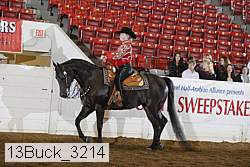 13buck_3214 proof