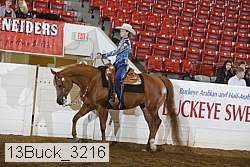 13buck_3216 proof