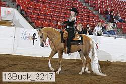 13buck_3217 proof