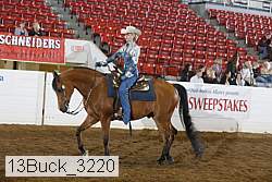 13buck_3220 proof