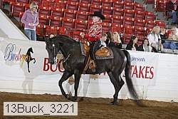 13buck_3221 proof