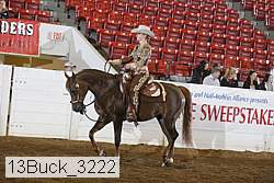13buck_3222 proof
