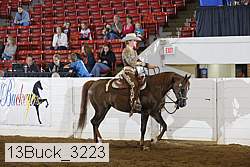13buck_3223 proof