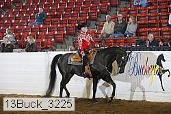 13buck_3225 proof