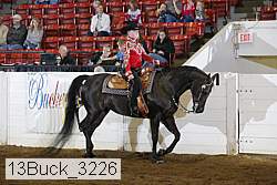 13buck_3226 proof