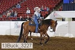 13buck_3227 proof